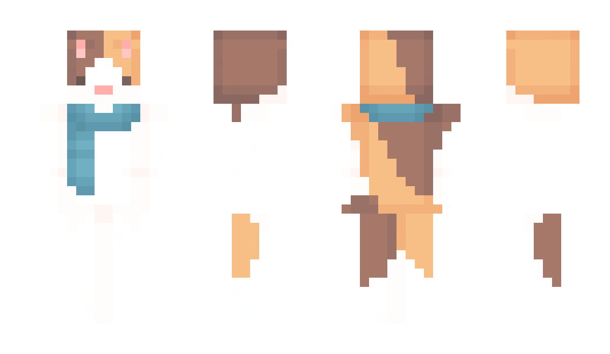 FlyNora Minecraft Skin