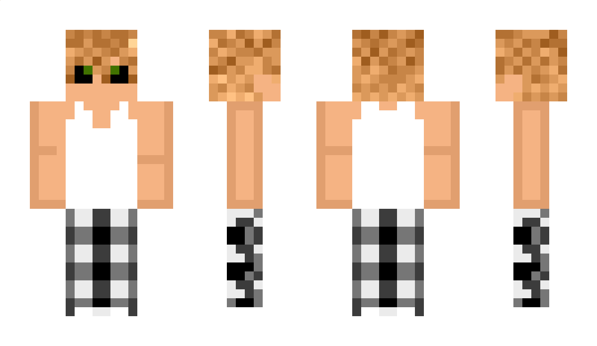 StellarDTE Minecraft Skin