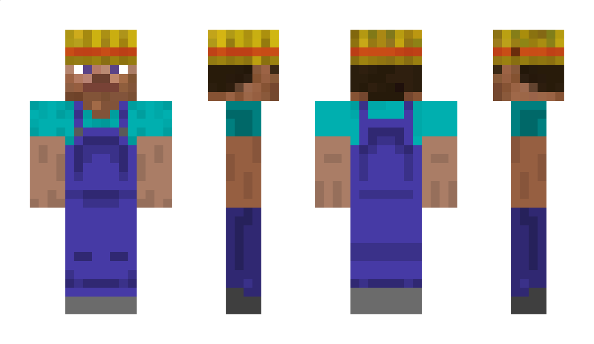 haansi Minecraft Skin