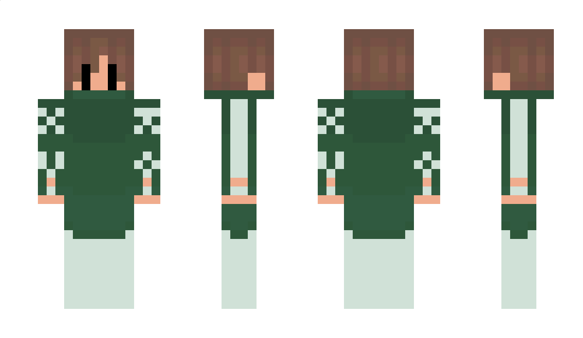 _bej Minecraft Skin