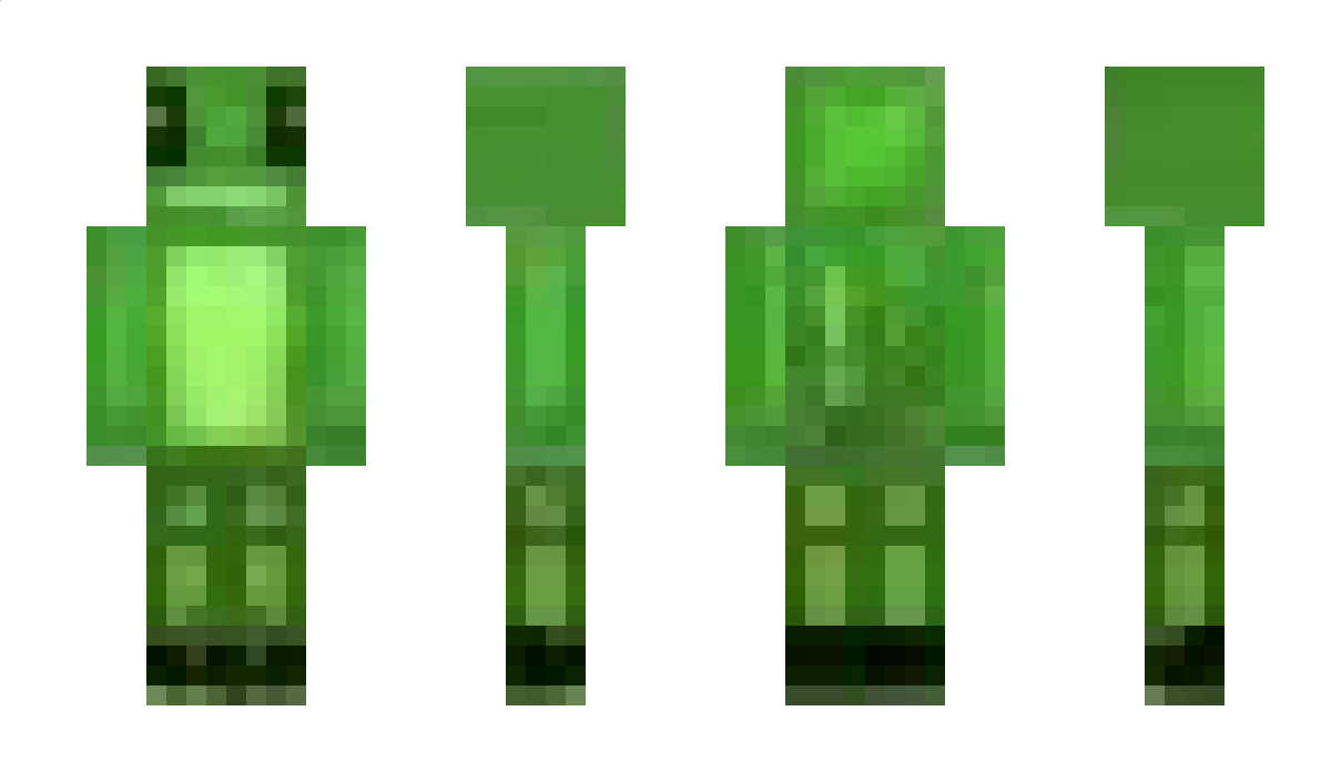 dudnik7530 Minecraft Skin