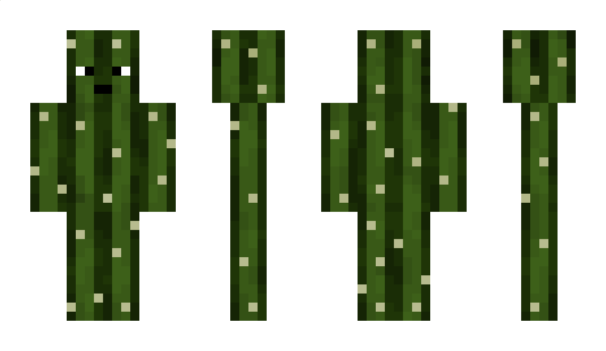 Cactusik123 Minecraft Skin