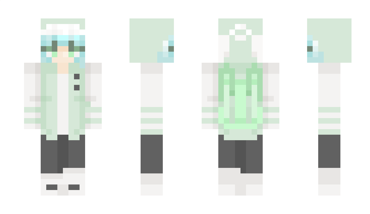 hwr Minecraft Skin