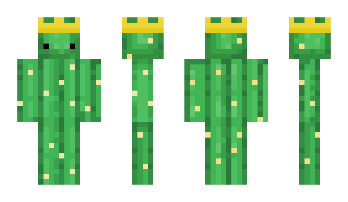 xdisperfhx Minecraft Skin