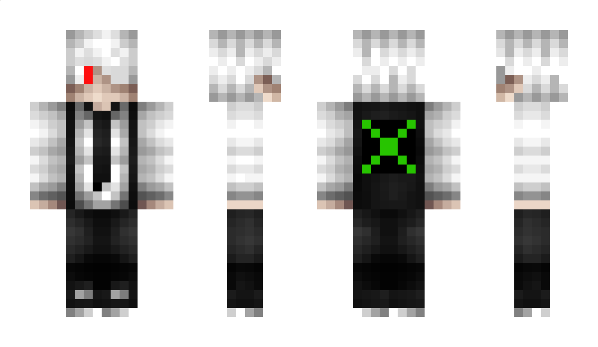 Error304 Minecraft Skin