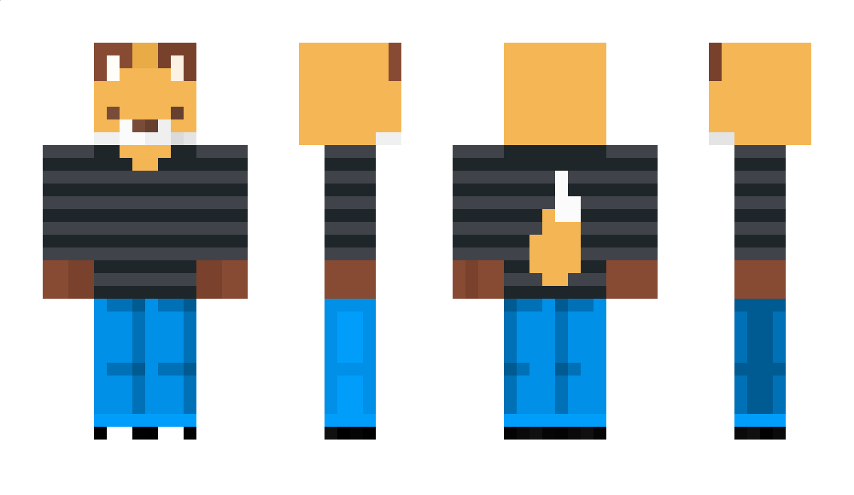 DolphinV3 Minecraft Skin