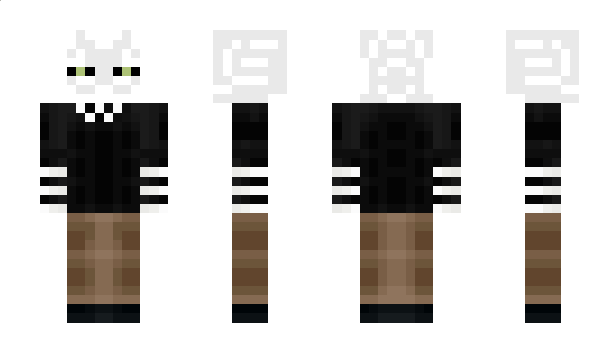 Skelettmax Minecraft Skin