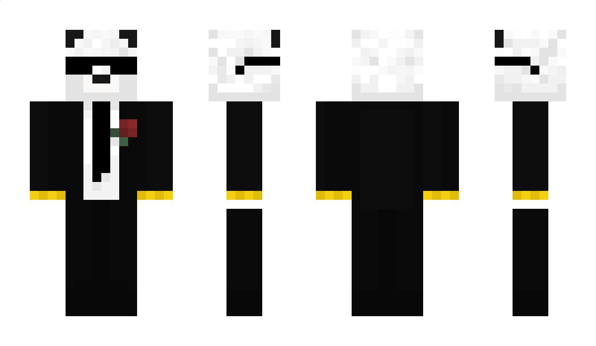 aeriial Minecraft Skin