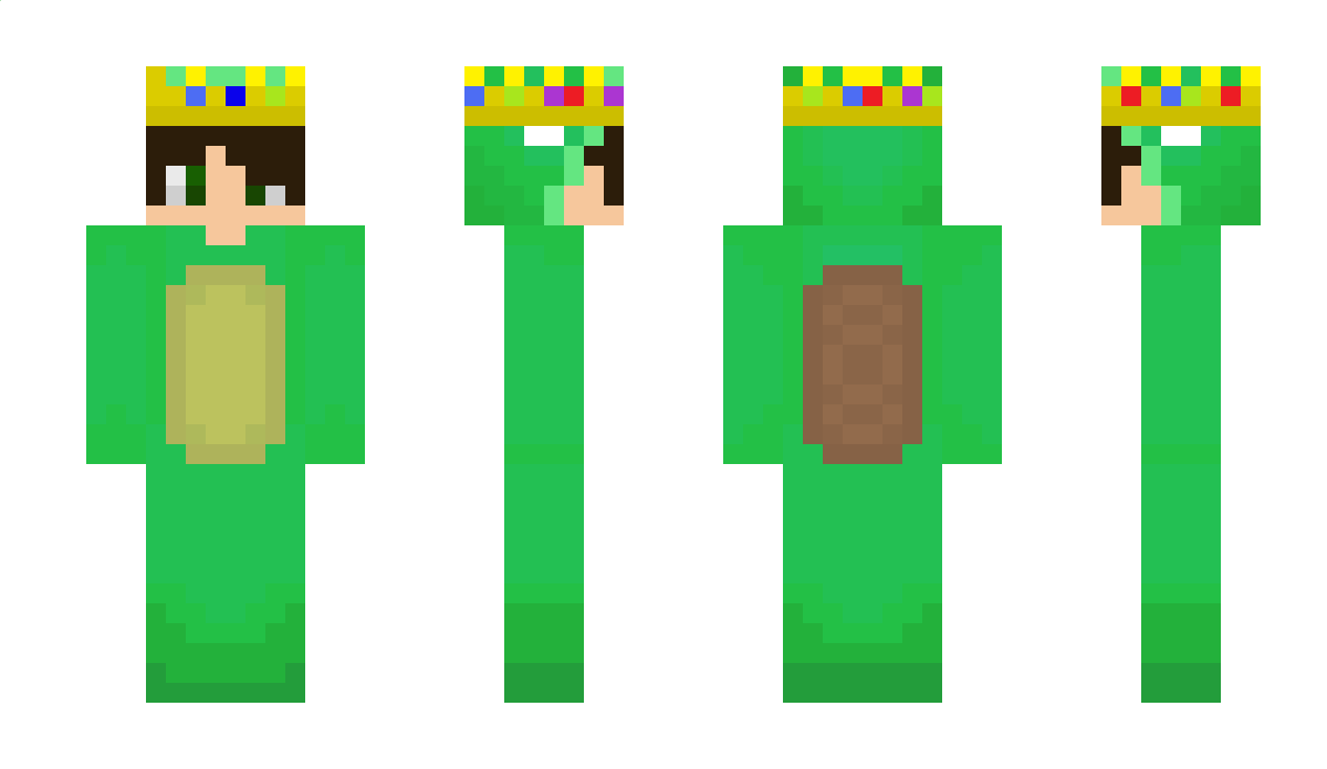 CaptTurtle_ Minecraft Skin