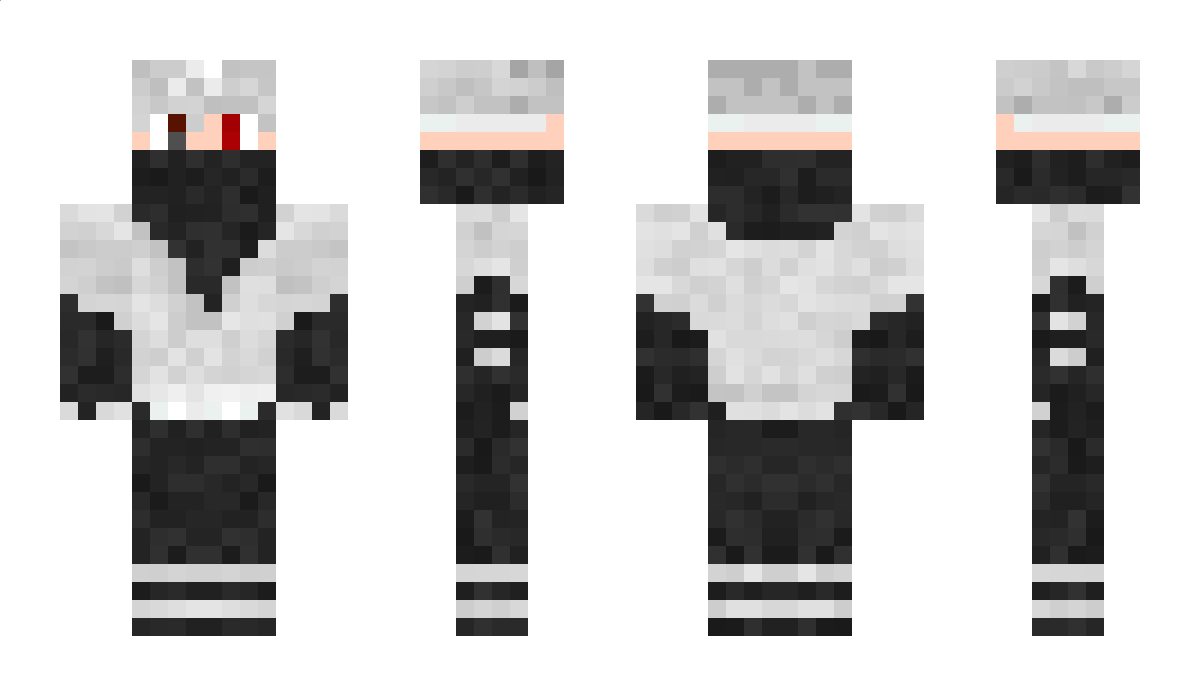 DennatorKing Minecraft Skin