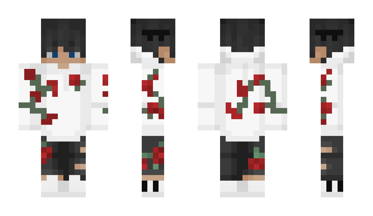 AikoSLR Minecraft Skin