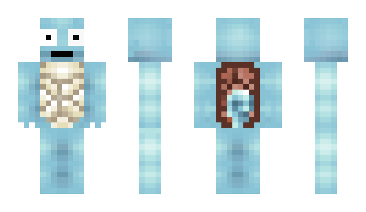 Squirtle_ Minecraft Skin