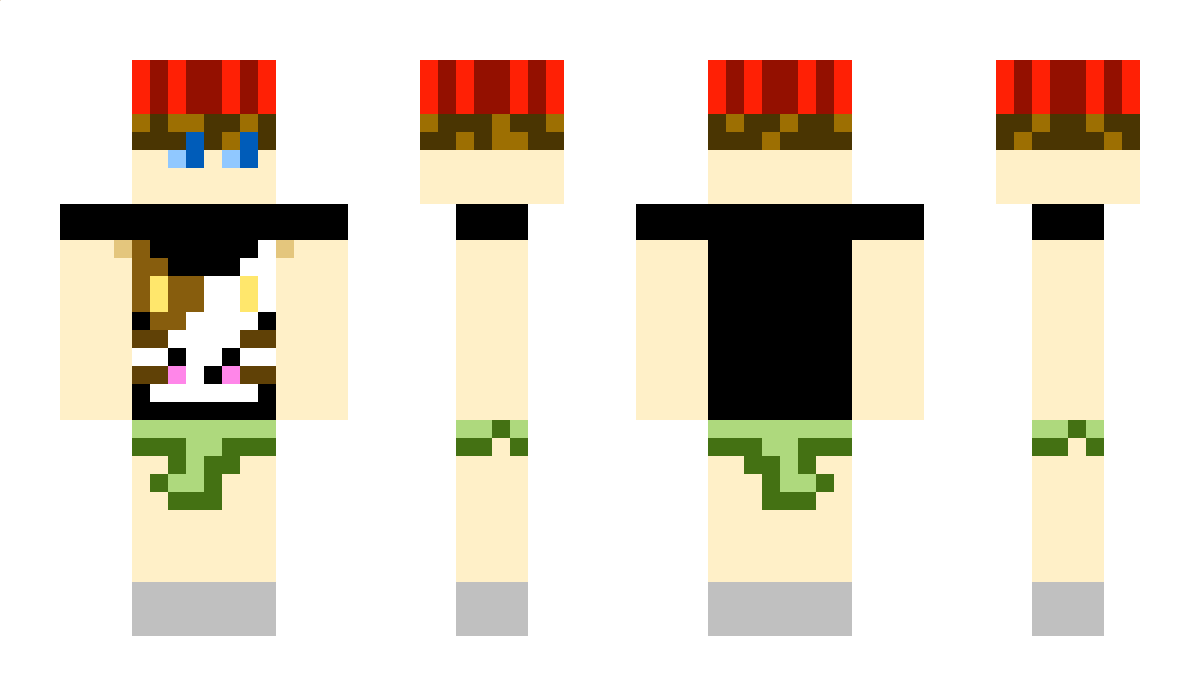 FinnMcBuddy Minecraft Skin