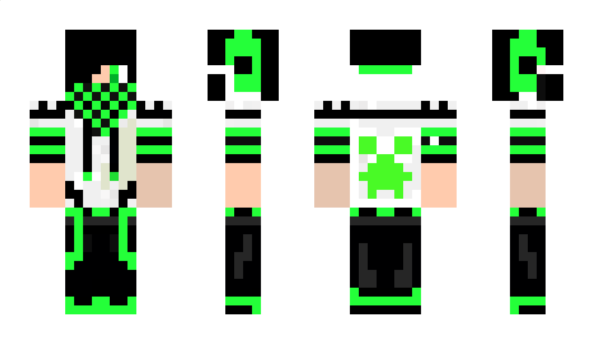 LolgamerHD Minecraft Skin