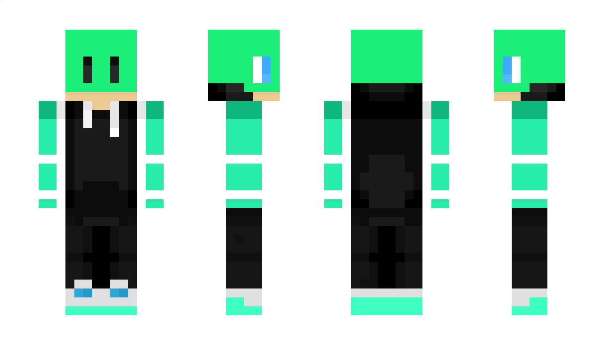 turtleboyD123 Minecraft Skin