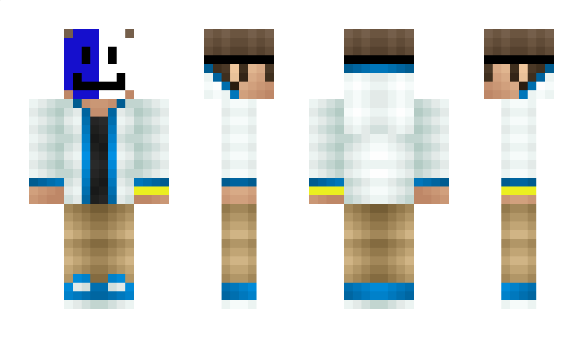 witek2403 Minecraft Skin