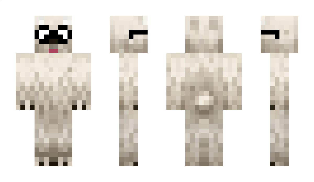 Coding Minecraft Skin