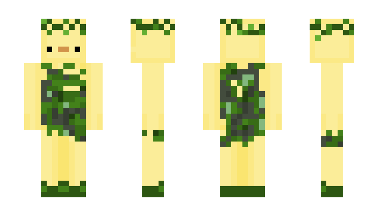 Salaa Minecraft Skin