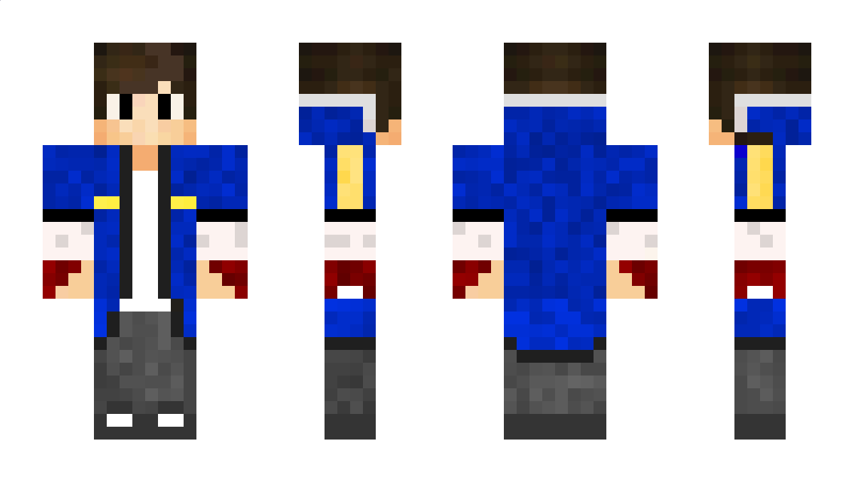 Superdolphin09 Minecraft Skin