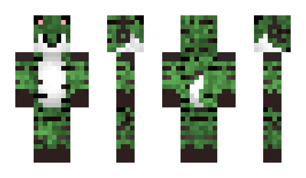 GreenCat Minecraft Skin