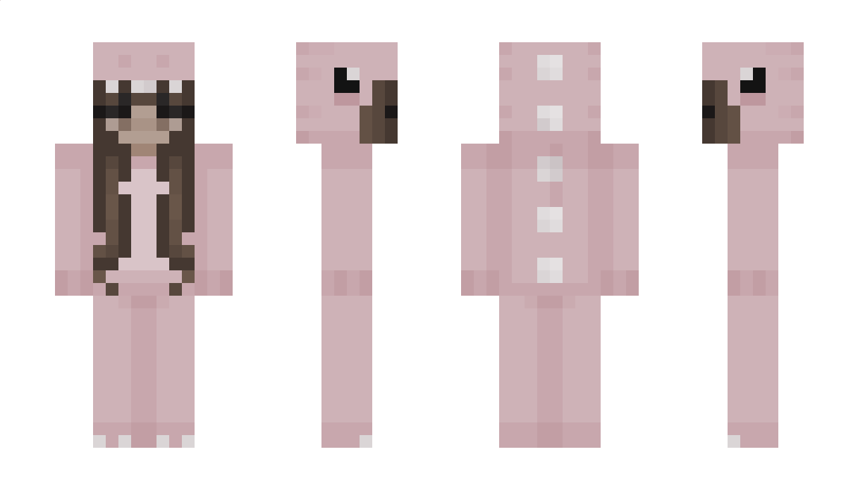 Mineacraft Minecraft Skin