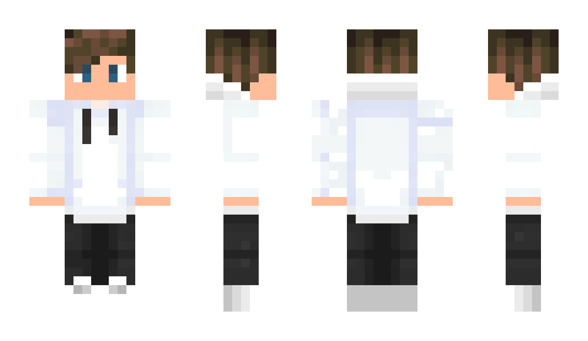 SteFre8 Minecraft Skin