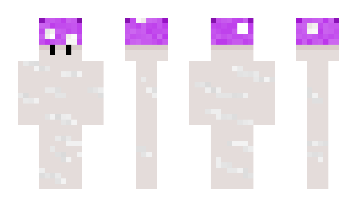 Paainter Minecraft Skin