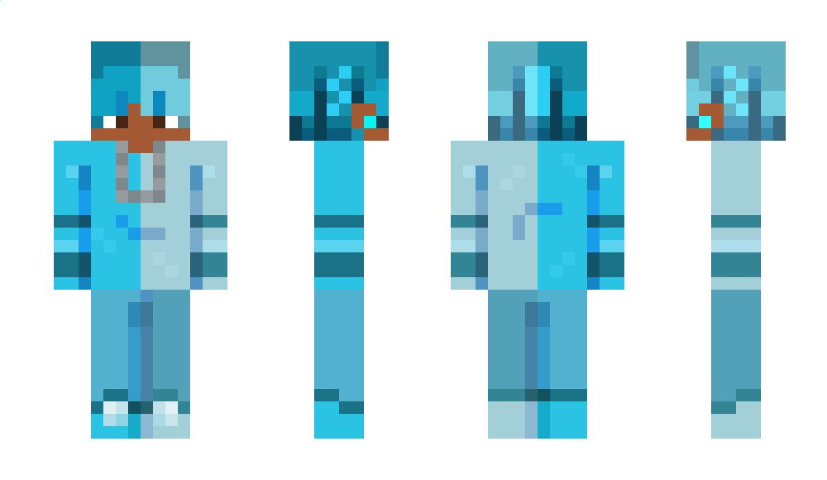 polartv Minecraft Skin