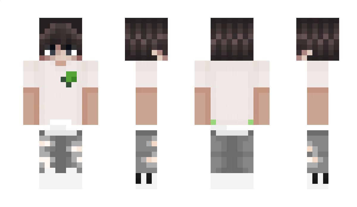 rivoles Minecraft Skin