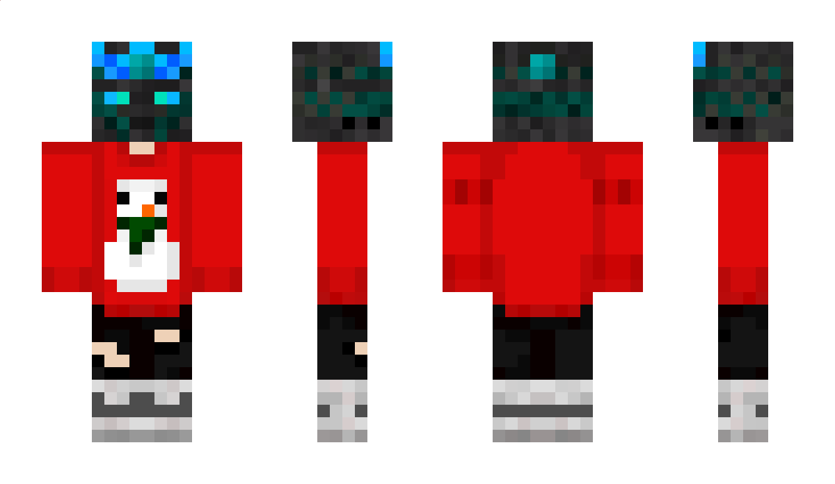 LiLoenn11 Minecraft Skin