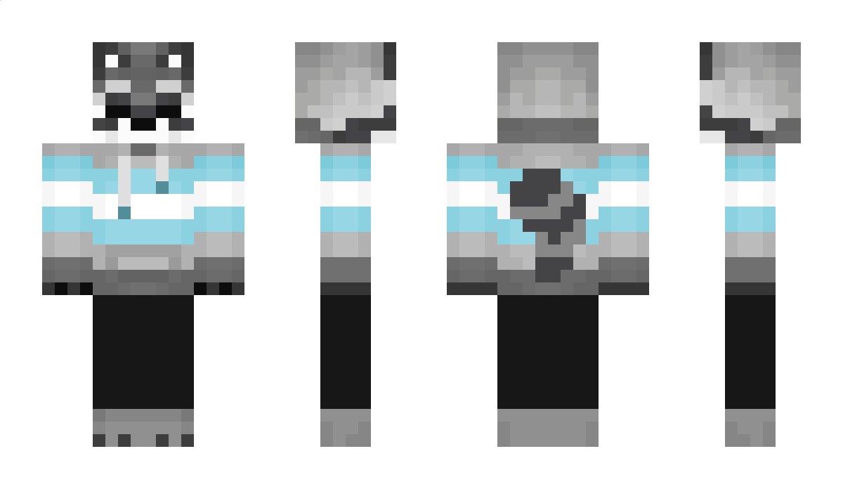 Catsaidwhat Minecraft Skin