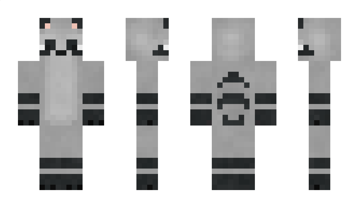 Segar2 Minecraft Skin