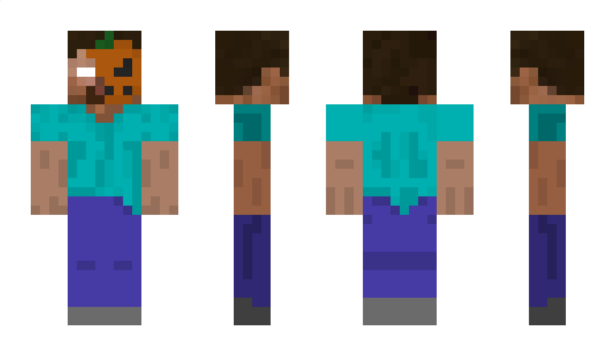 HazyIsCrazy Minecraft Skin