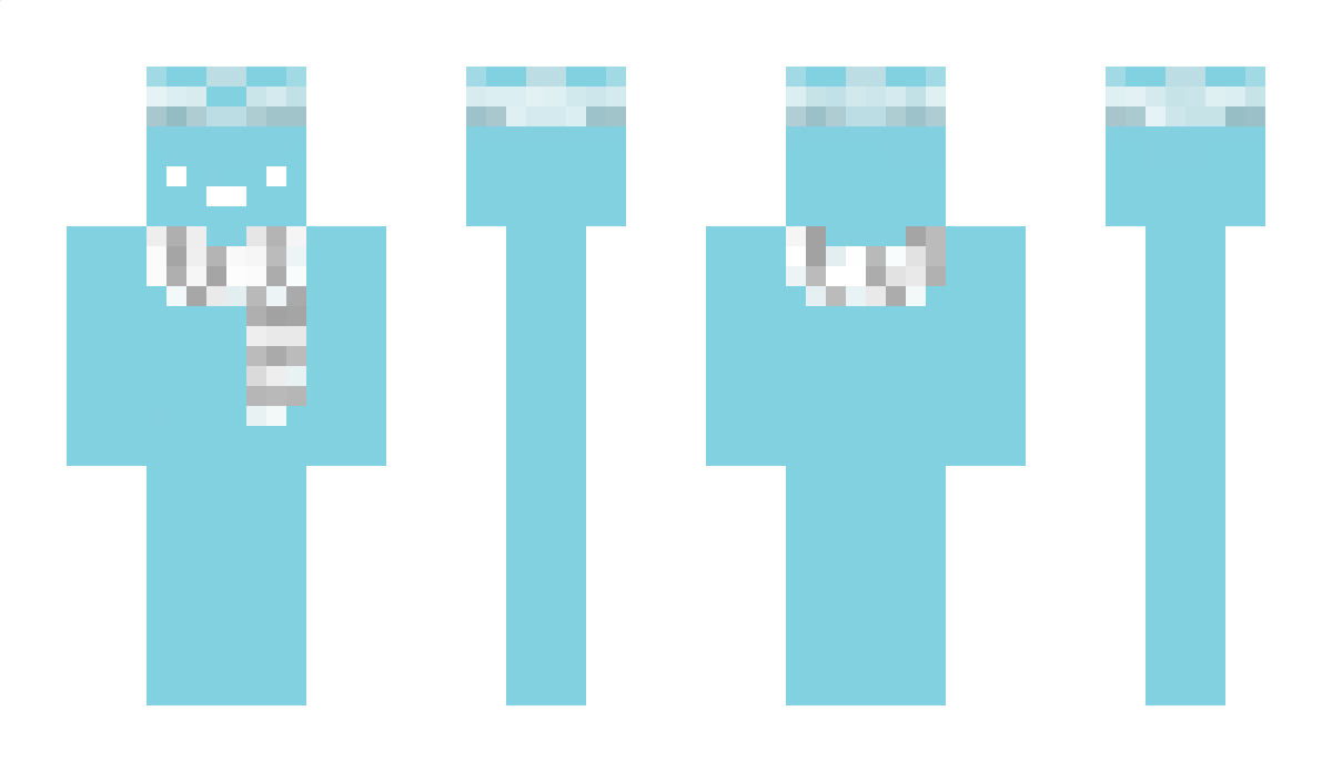 sung1asses Minecraft Skin