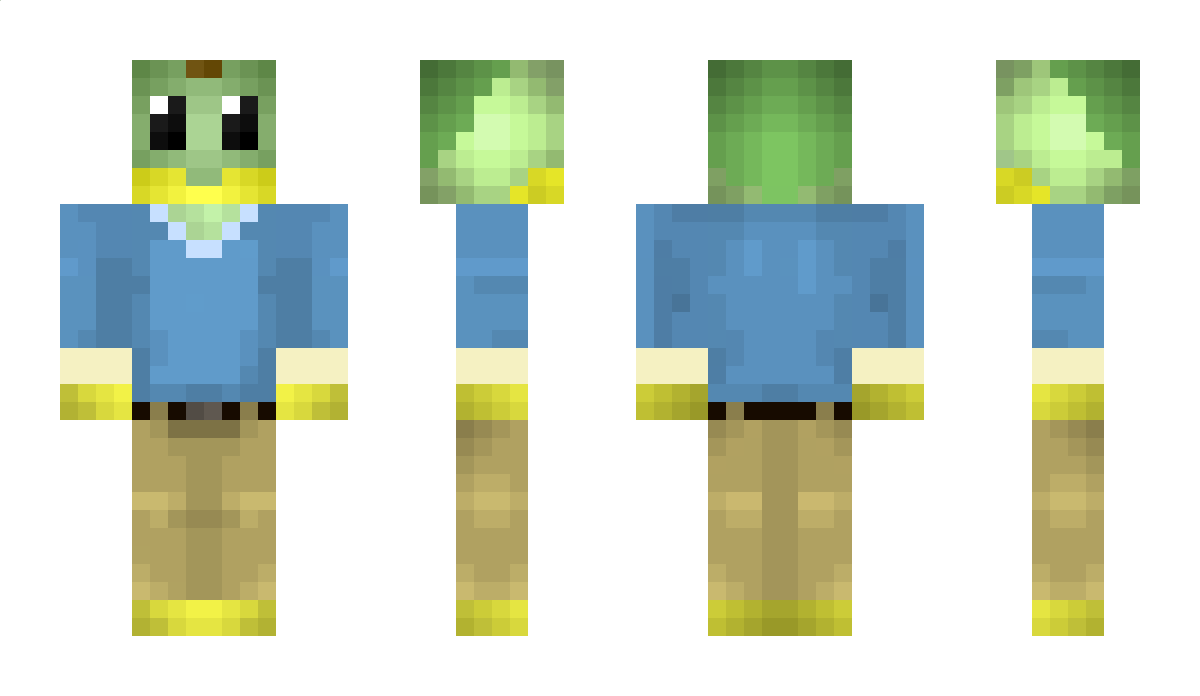 Turtwig6666 Minecraft Skin