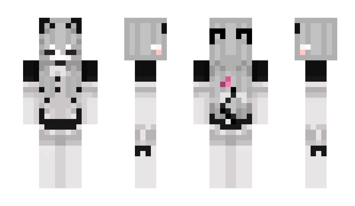 the_Cooki_ Minecraft Skin