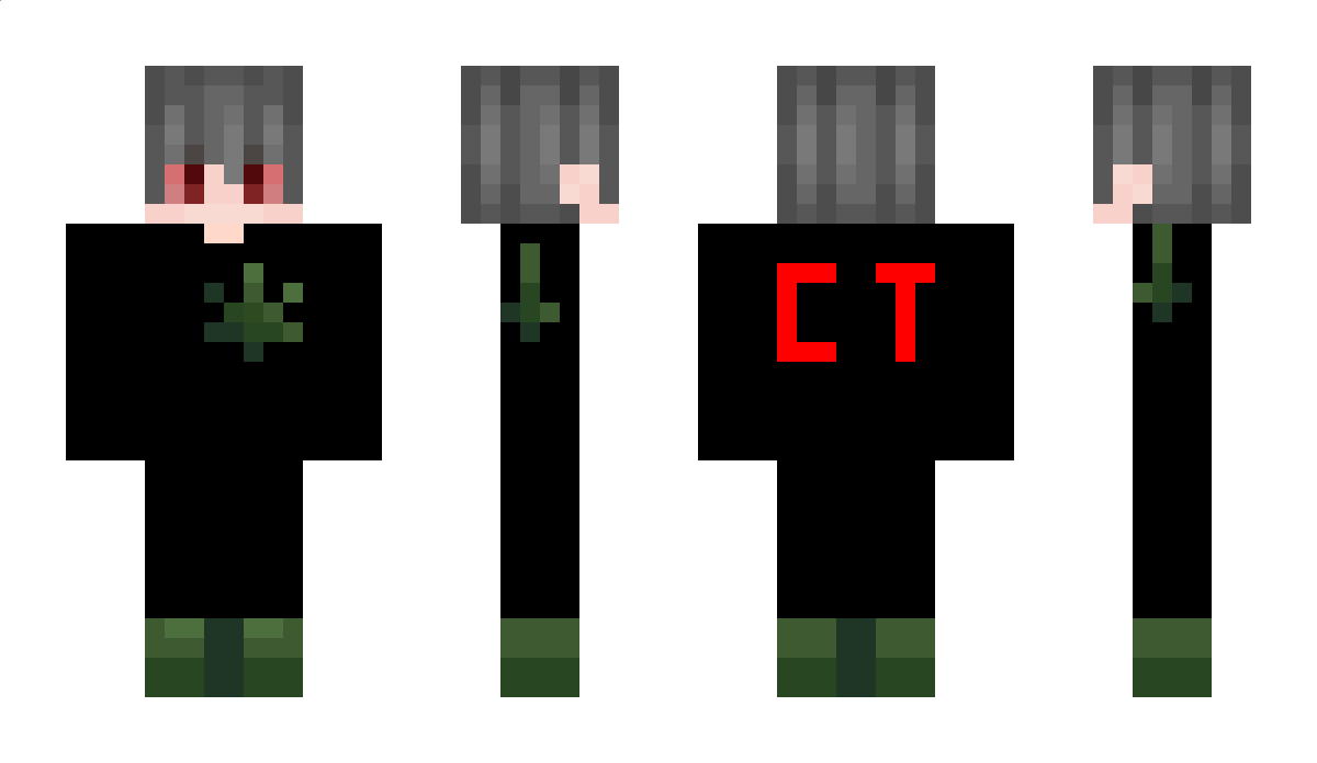 Conclusioness Minecraft Skin