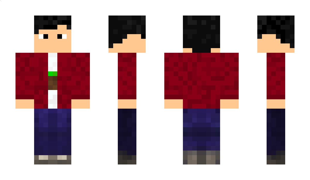 Zela Minecraft Skin