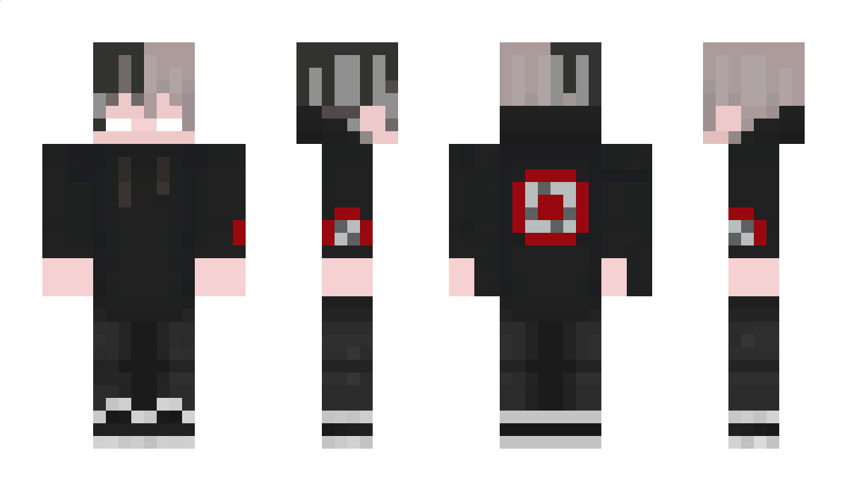 heroninja100 Minecraft Skin