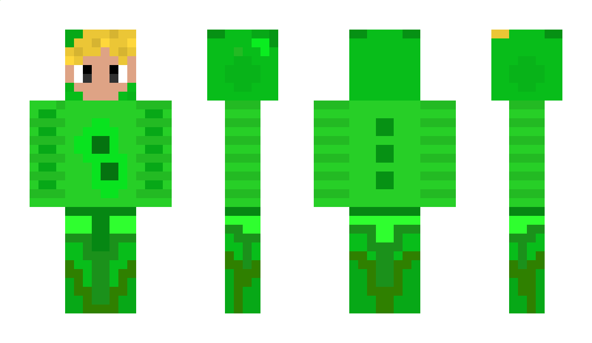 hunger_noobie050 Minecraft Skin