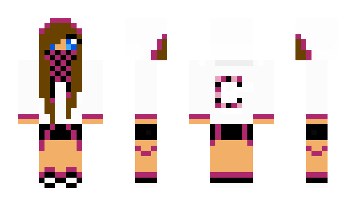 punguin Minecraft Skin