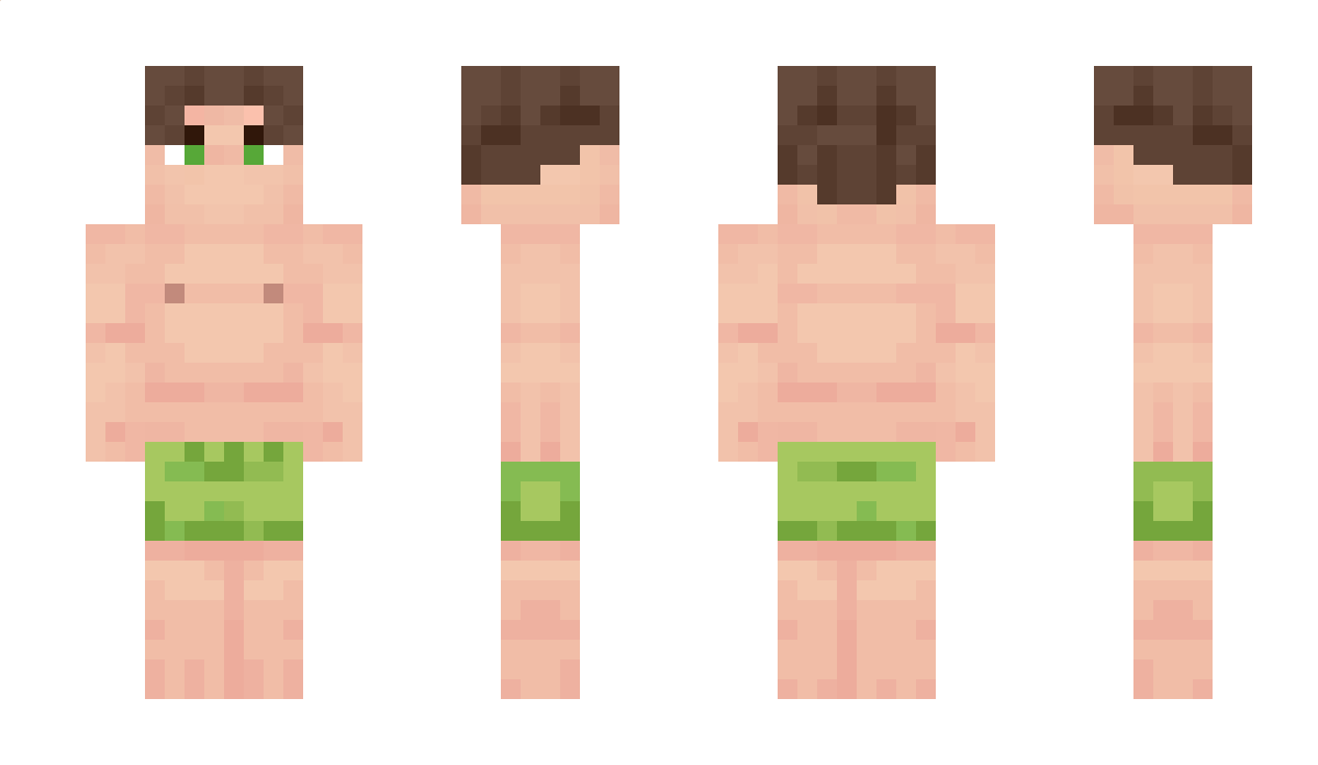 TheVionoks Minecraft Skin