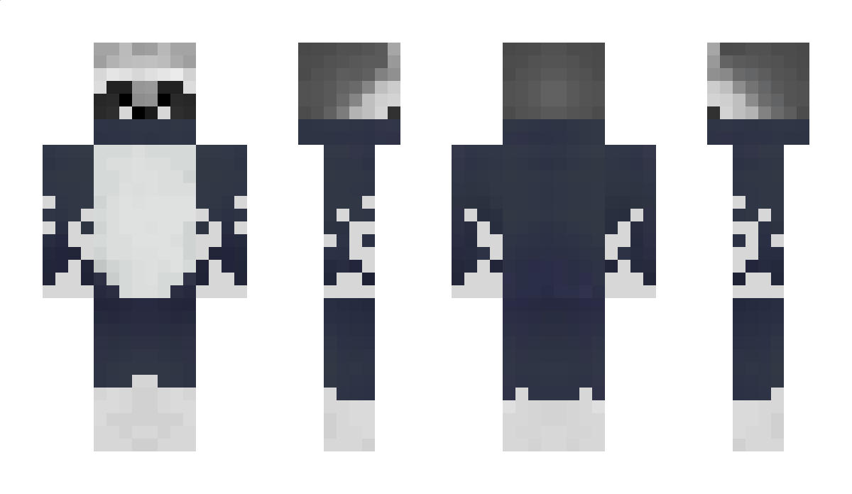 mapache Minecraft Skin