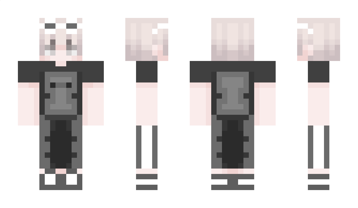 1br4 Minecraft Skin