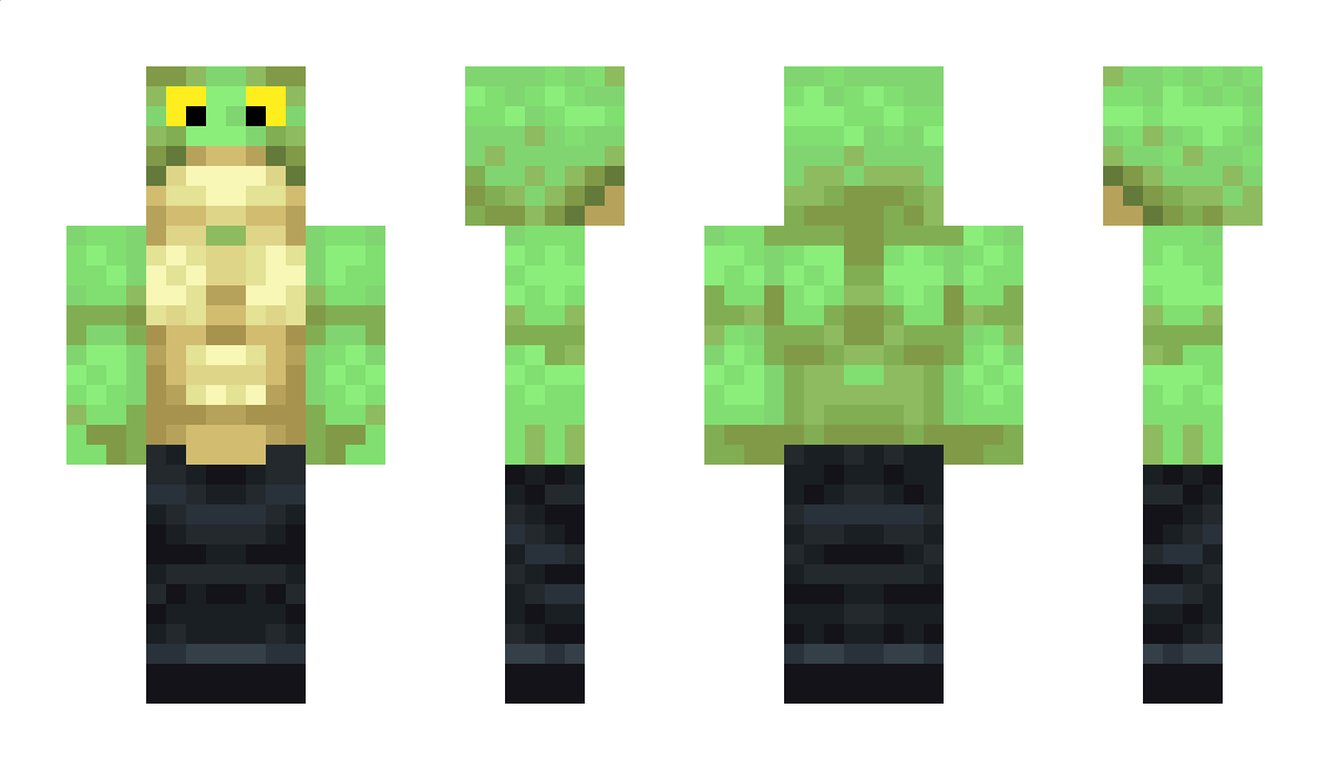 pxlymorphism Minecraft Skin