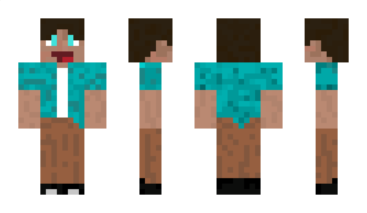 Blffo2323 Minecraft Skin