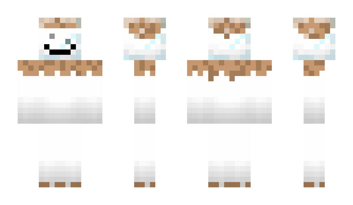 TNRLT Minecraft Skin