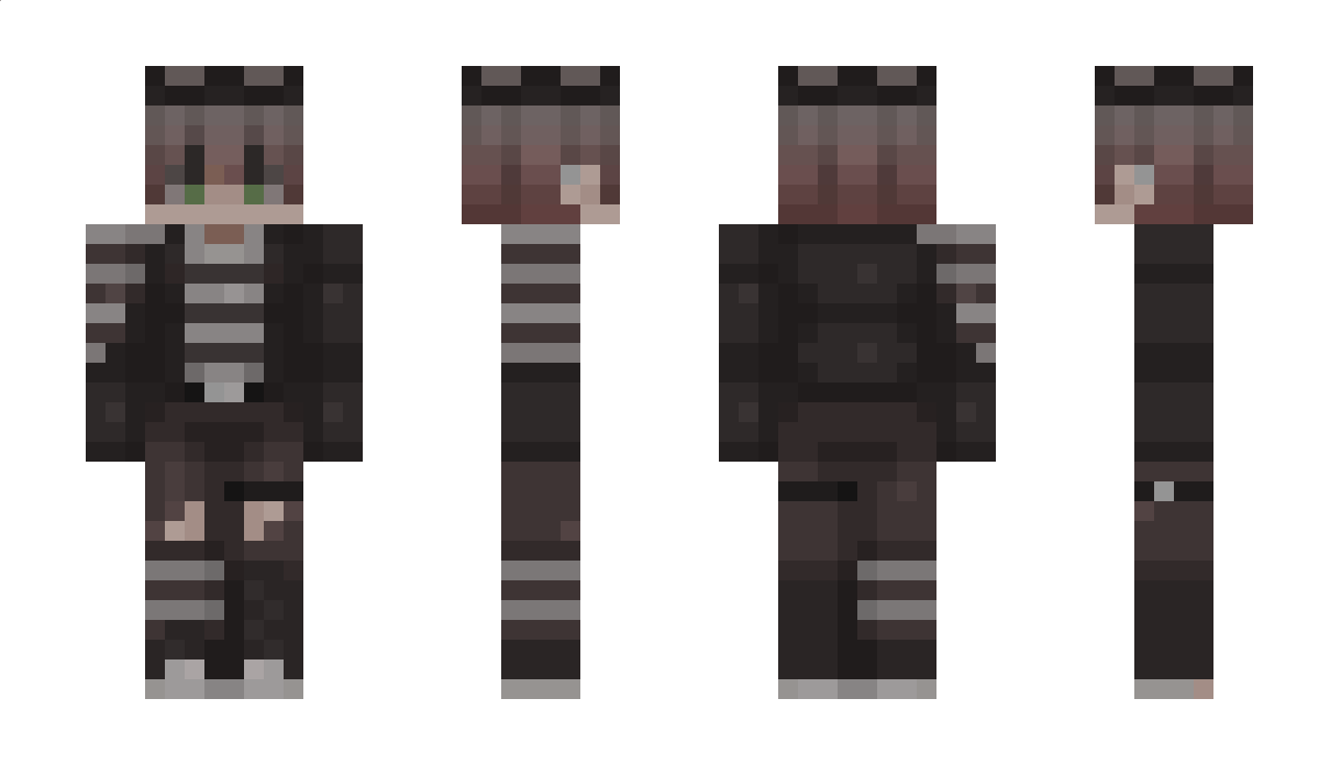 DarkTheFoxVR Minecraft Skin