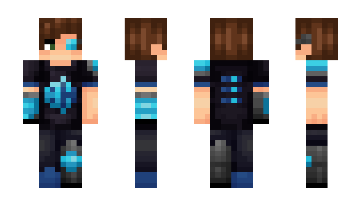 BisectHosting Minecraft Skin