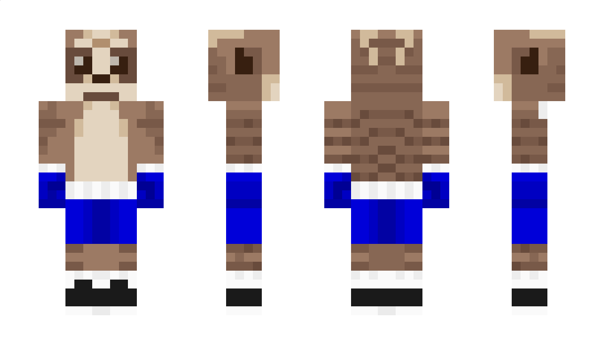 hon Minecraft Skin